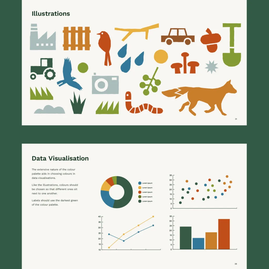 National Education Nature Park Custom Illustration