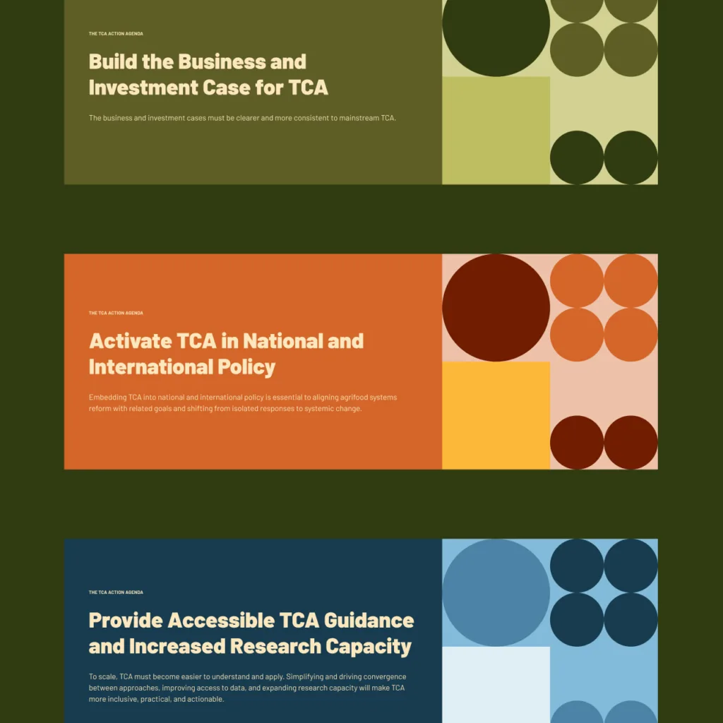 TCA Accelerator Action Agenda - Website Banners