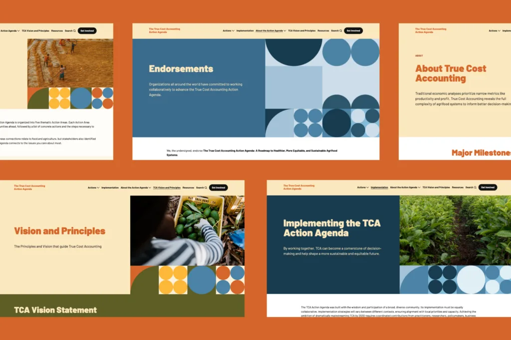 TCA Accelerator Action Agenda - Website WordPress