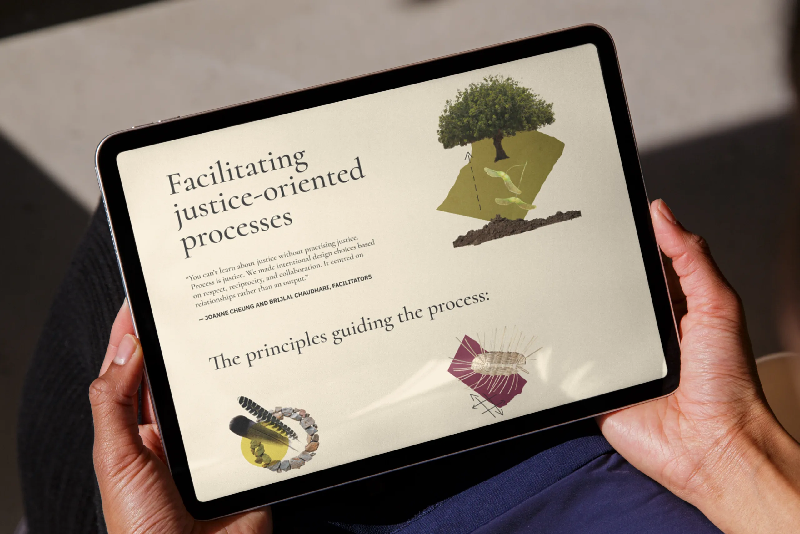 Rooted in Justice - Interactive Website