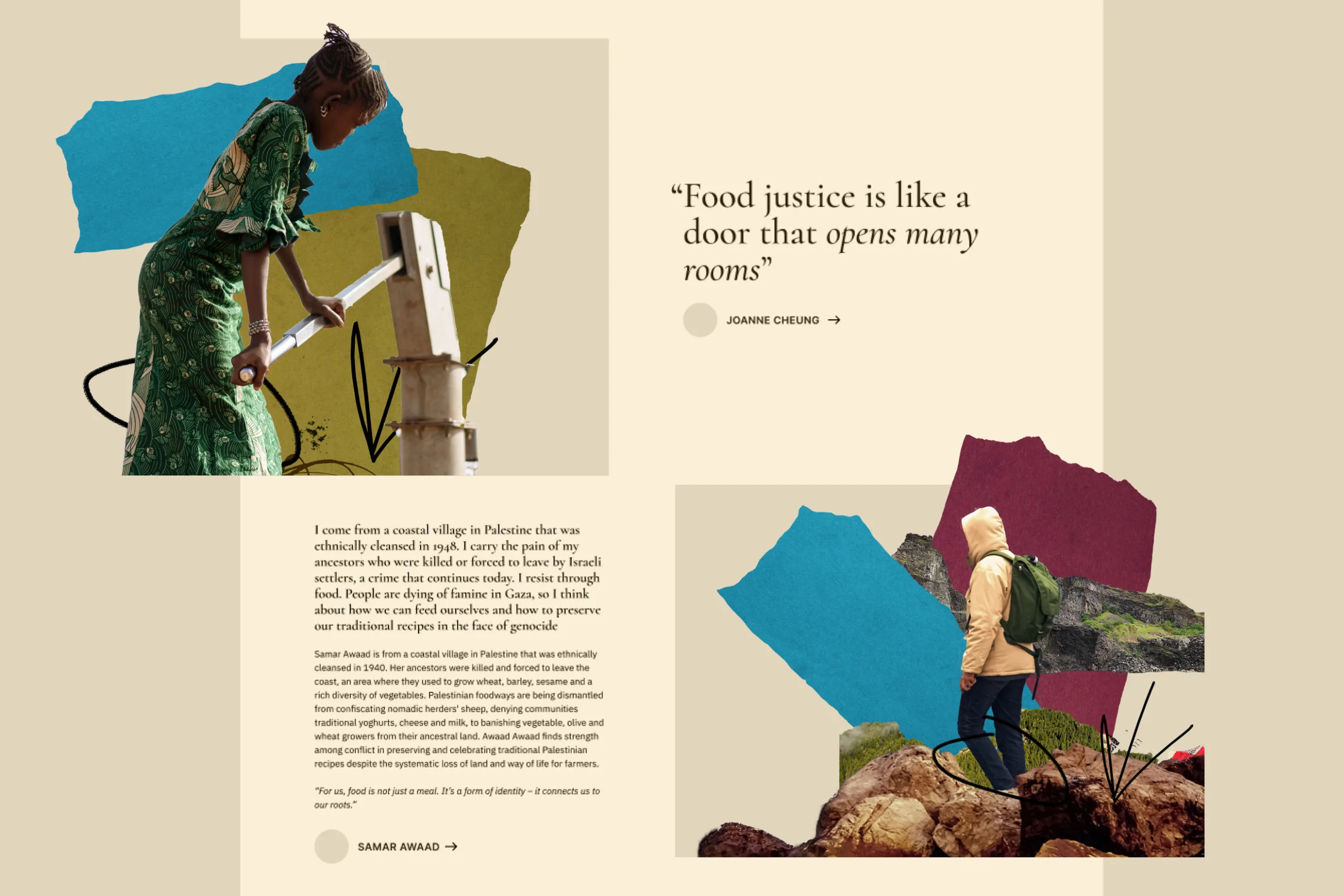 Rooted in Justice Web Design