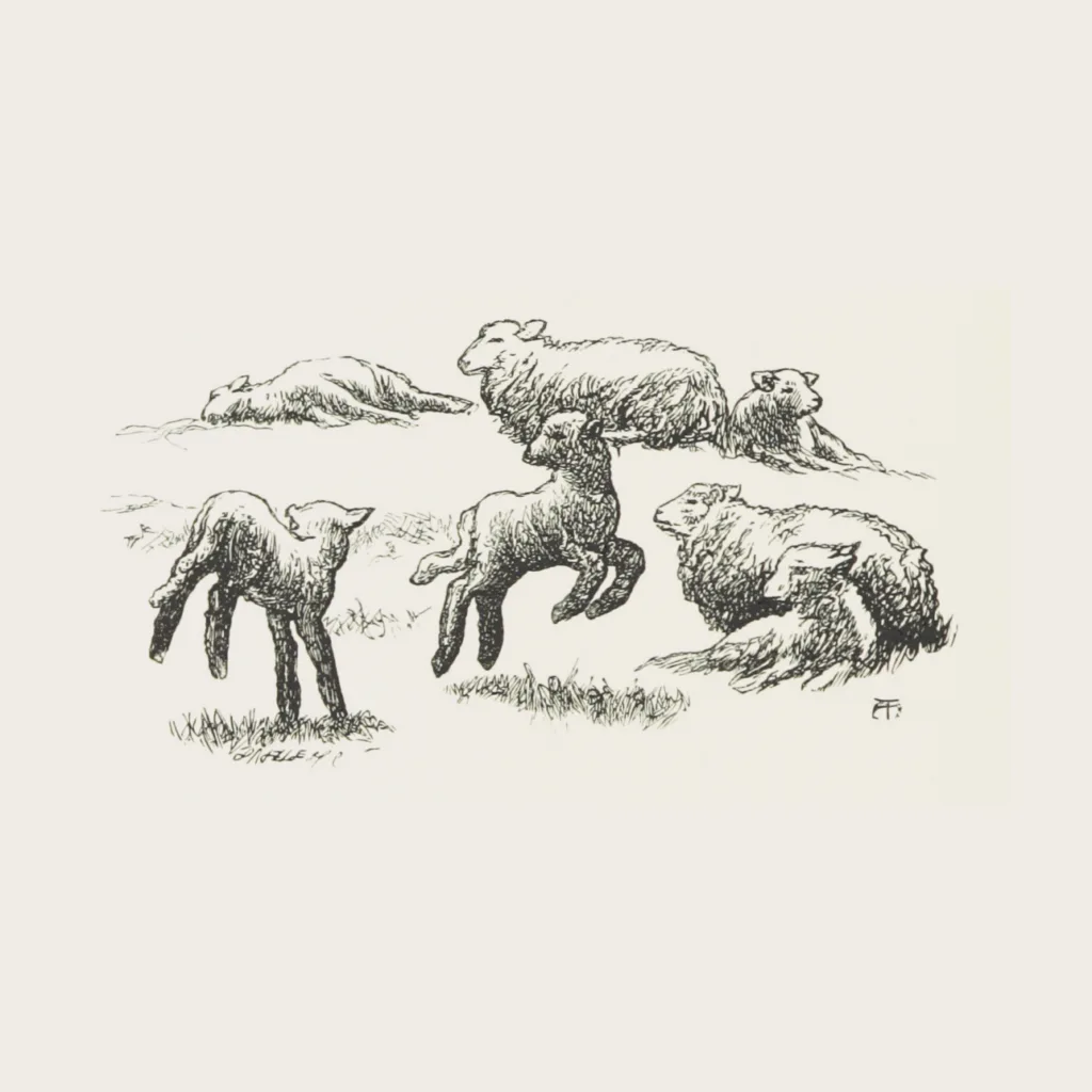 Project Image Medium 13
