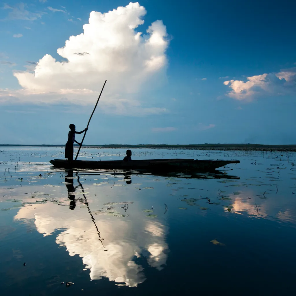 Global Alliance for the Future of Food