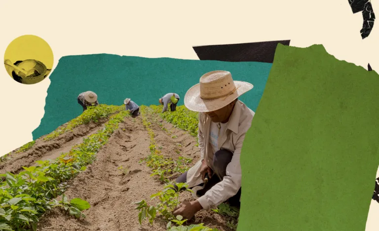 Global Alliance for the Future of Food